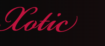 Xotic AI logo